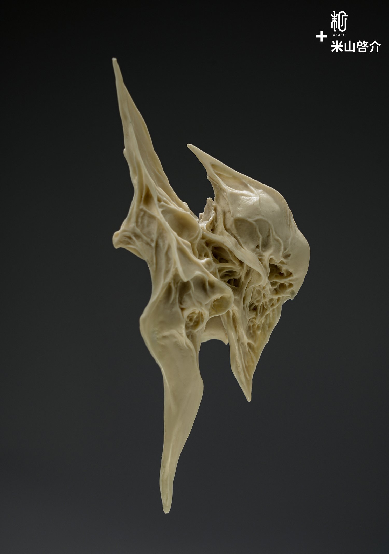 CREATURE HEAD #01 Kit — S+U+M